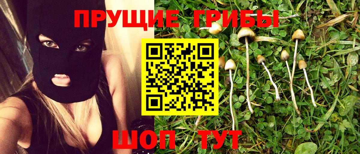 Ногинск  магазин продажи   Вход с VPN  Галлюциногенные грибы прущие грибы 