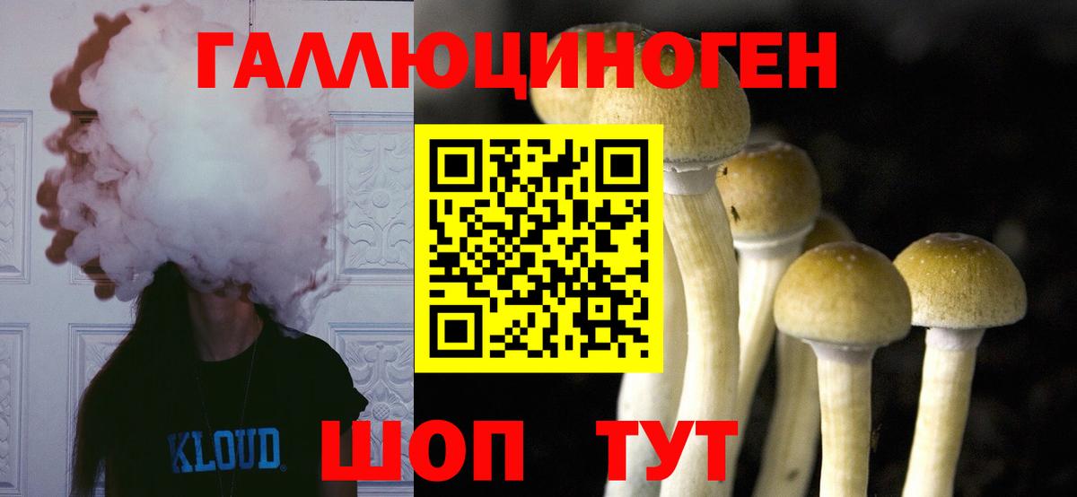 Галлюциногенные грибы мухоморы Ногинск